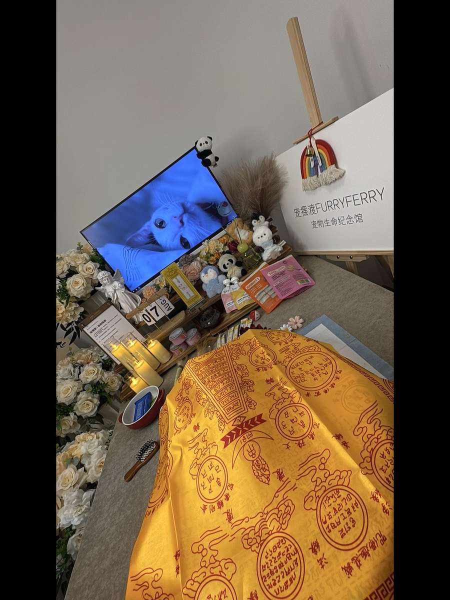 贵阳宠物殡葬告别厅实景