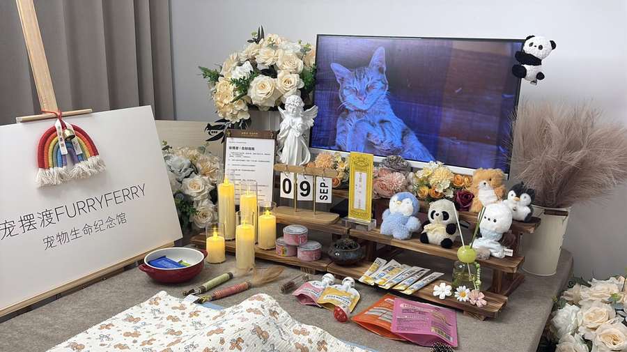 贵阳宠物单独火化